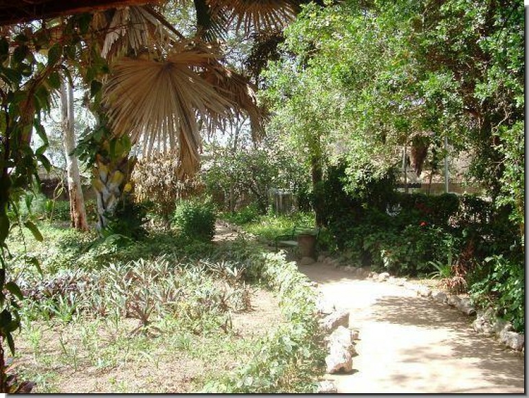 Gambia's Only National Botanical Garden to Conserve Flora and Fauna - Cover Image